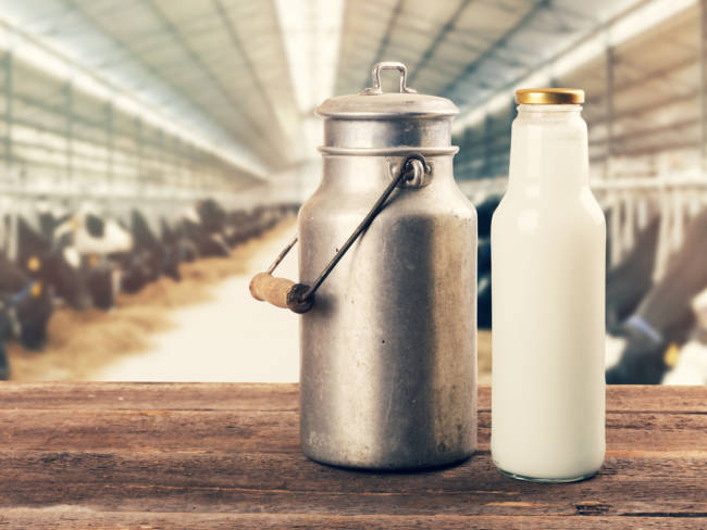 Milch mit genetischer Abwandlung
