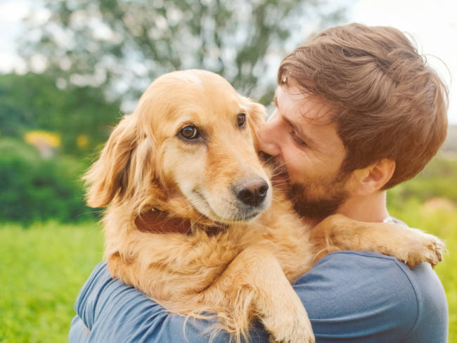 Forscher entdeckten, dass sich Hundebesitzer lieber bei ihren Haustieren, anstatt ihren Familien ausheulen.