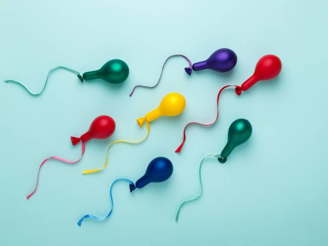 Spermien Mythen